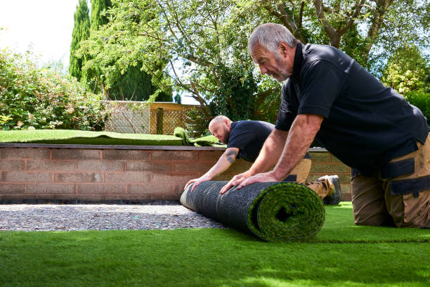 Find Lawn and Turf Suppliers with TradieBuzz