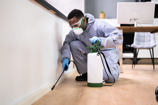Find Pest Control Experts with TradieBuzz