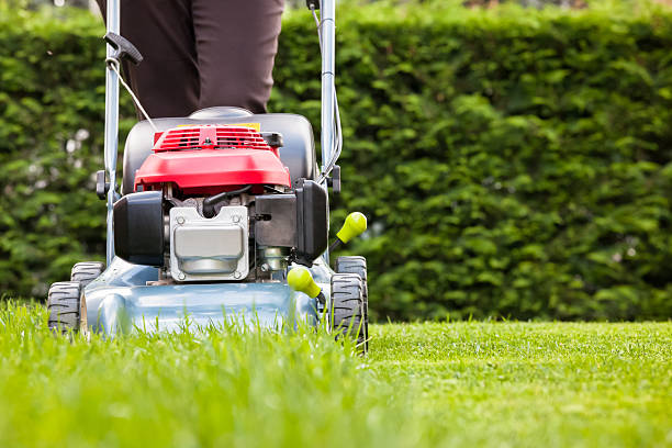 Find Lawn Mowing Businesses with TradieBuzz